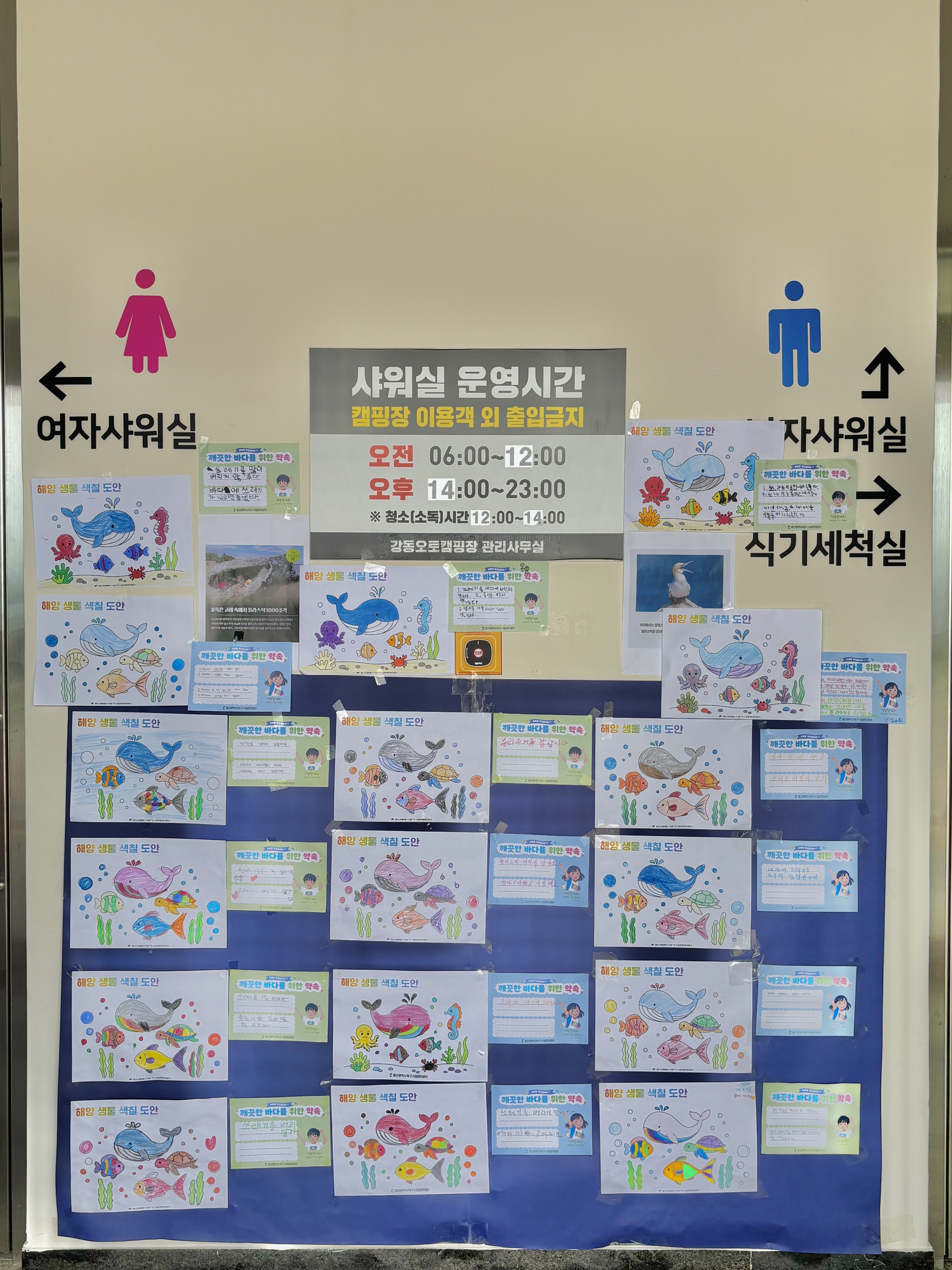 해당파일이미지