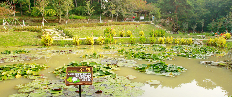 화동못 수변공원 사진1