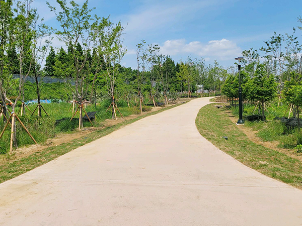 황토산책로